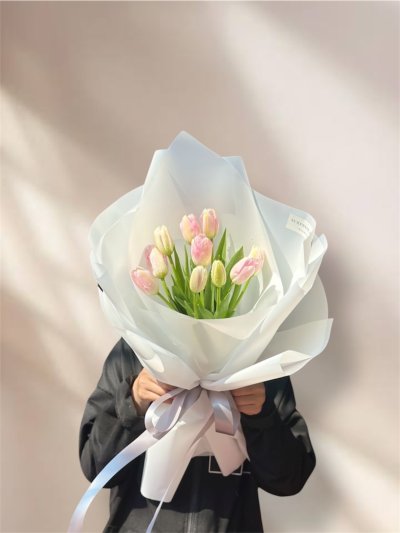 10 Blush Tulips